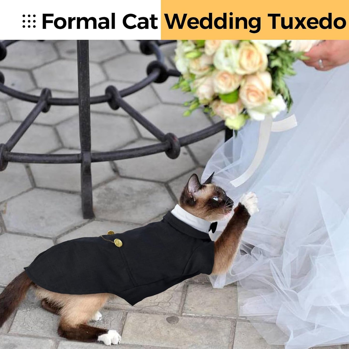 Cat wearing soft cotton formal wear for photo shoot