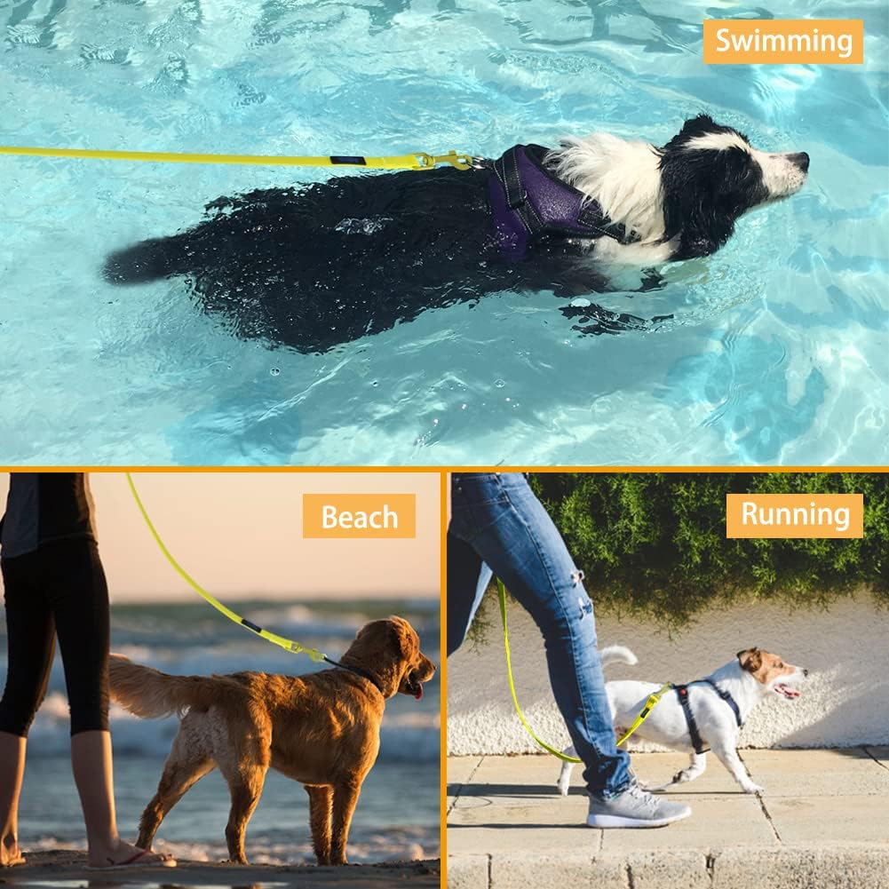 Vivifying long line dog lead yellow variant laid out on a flat surface