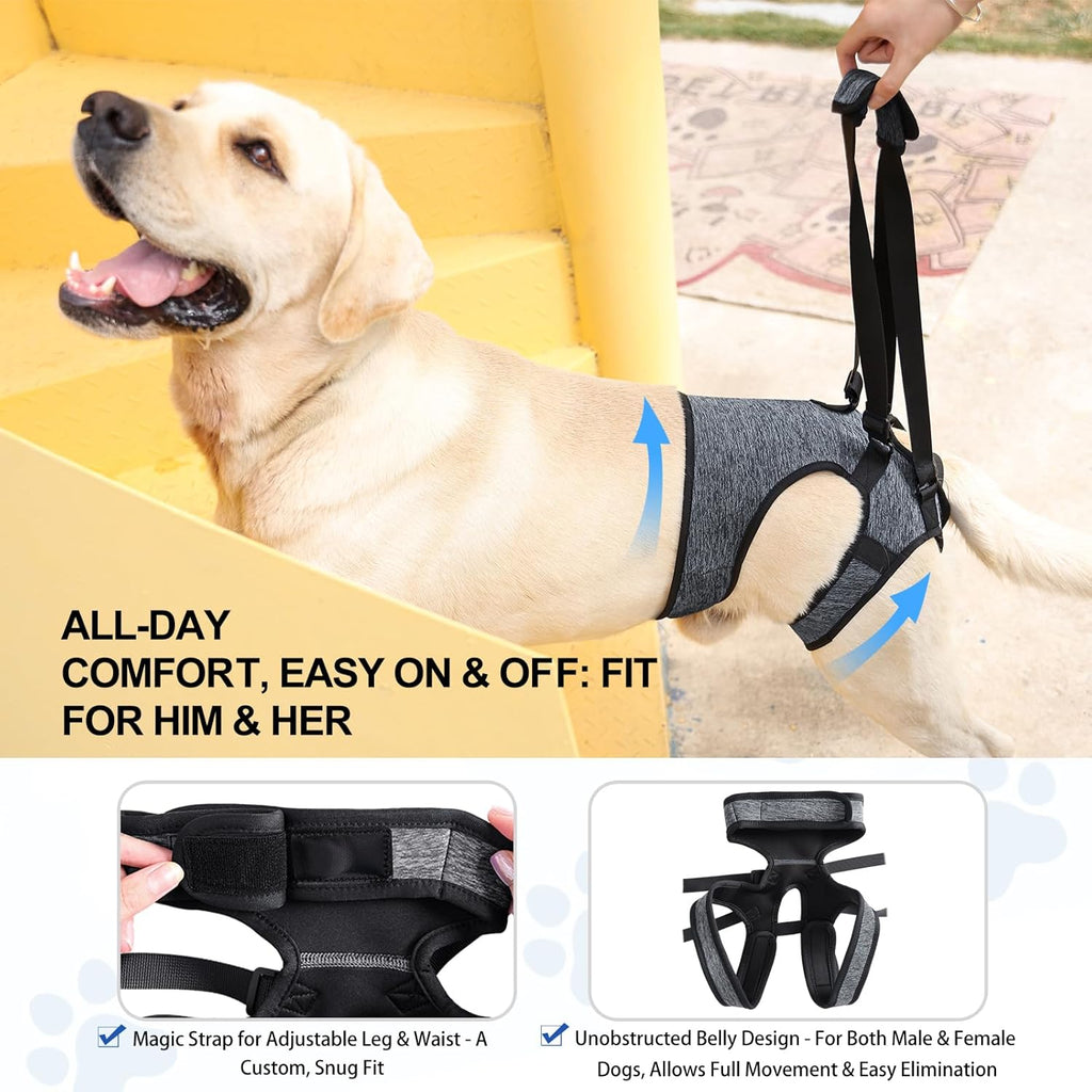 Close up of adjustable hook and loop straps on dog sling