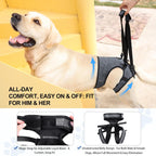 Close up of adjustable hook and loop straps on dog sling
