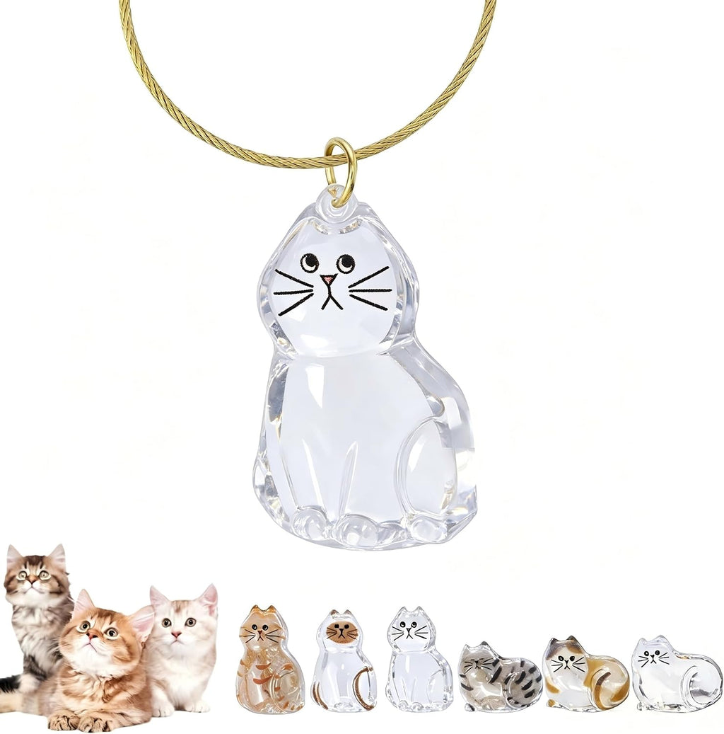 Cat Hair Storage Keychain,Transparent Cat and Dog Hair Storage Capsule,Welldonepet Cats Hairs Keychain - Image 9