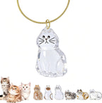 Cat Hair Storage Keychain,Transparent Cat and Dog Hair Storage Capsule,Welldonepet Cats Hairs Keychain - Image 9