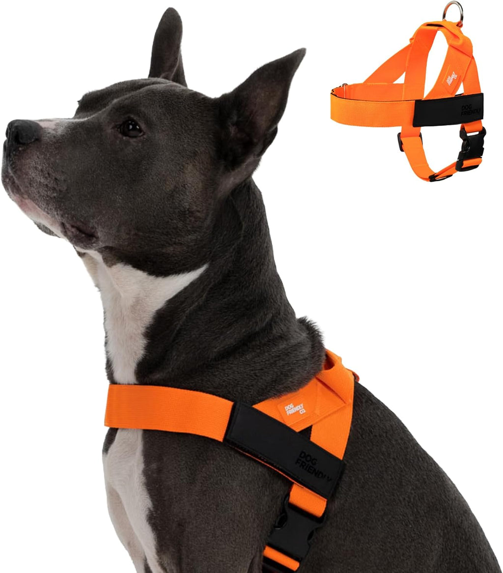 Dog Friendly Co. Dog Harness | Chafe Resistant Webbing, Adjustable Neck & Chest, and Heavy Duty D-Ring | Sturdy, Comfortable, Easy to Use | Pink, Size L - Image 12