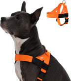 Dog Friendly Co. Dog Harness | Chafe Resistant Webbing, Adjustable Neck & Chest, and Heavy Duty D-Ring | Sturdy, Comfortable, Easy to Use | Pink, Size L - Image 12