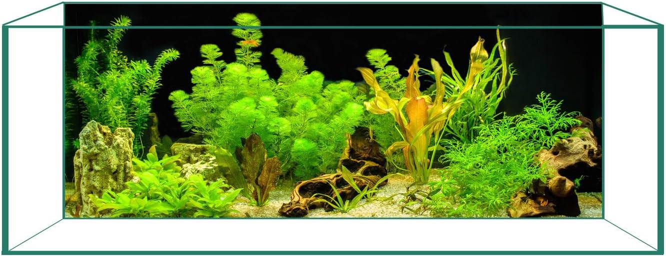Fade resistant durable PVC fish tank backdrop for clear underwater aesthetics.