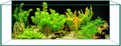 Fade resistant durable PVC fish tank backdrop for clear underwater aesthetics.