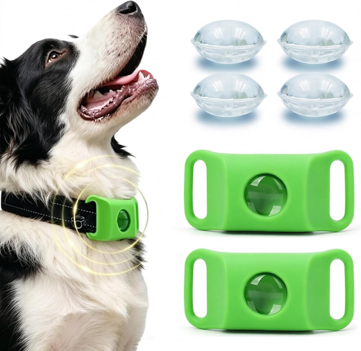 Durable green dog collar charm by FurLife being tested in outdoor wet conditions