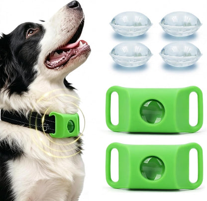 Durable green dog collar charm by FurLife being tested in outdoor wet conditions