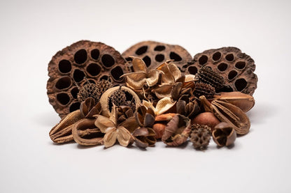 Dried lotus seed pods and cones for shrimp tank decoration