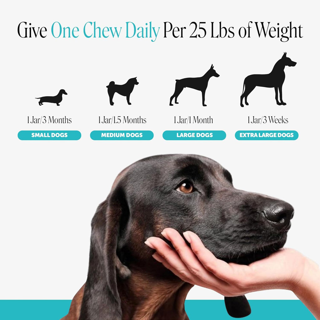 Pet Honesty premium dog relaxation soft chews packaging texture details