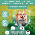 Black flea and tick collar for puppies and dogs