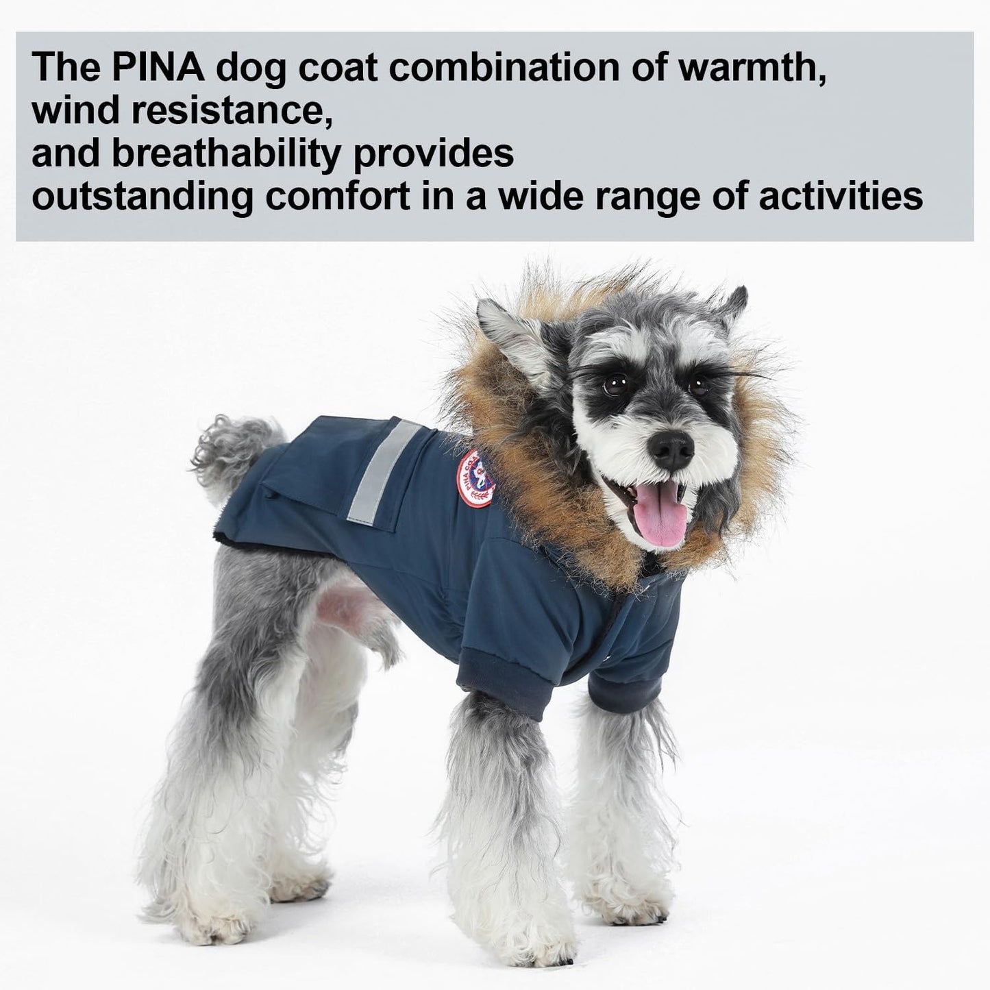 Windproof dog snow jacket showcasing the integrated harness leash hole