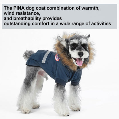 Windproof dog snow jacket showcasing the integrated harness leash hole