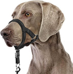BARKLESS Sturdy No Pull Head Collar for Medium Large Dogs, Gentle Reflective Head Halter with Safety Link, Adjustable Nylon Dog Training Muzzle Leash for Walking Control (Green, L) - Image 10