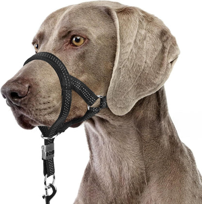 BARKLESS Sturdy No Pull Head Collar for Medium Large Dogs, Gentle Reflective Head Halter with Safety Link, Adjustable Nylon Dog Training Muzzle Leash for Walking Control (Green, L) - Image 10