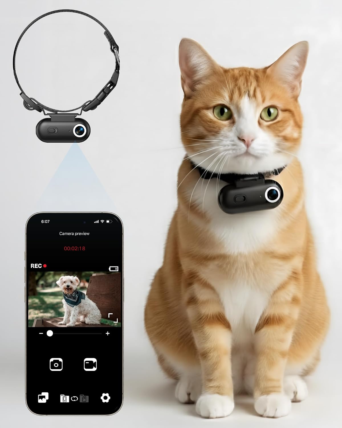 Cat Camera Collar with Tracker Tag, 1080P HD Video Recording, Check Video on Phone APP, XS-Size Pet POV Cam for Cats & Small Dogs, Mini Body Cameras for PetsNo SD Card Included - Image 10