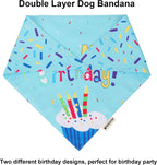 ADOGGYGO birthday boy dog scarf layout with interchangeable glitter numbers