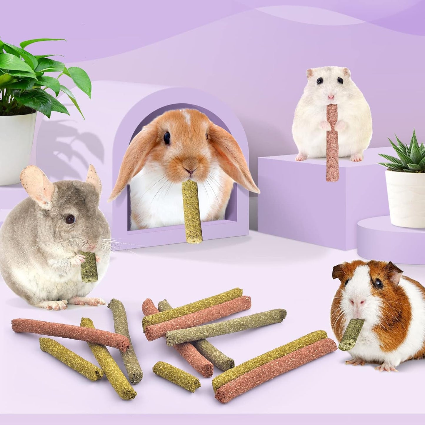 High fiber small pet dental snacks texture detail