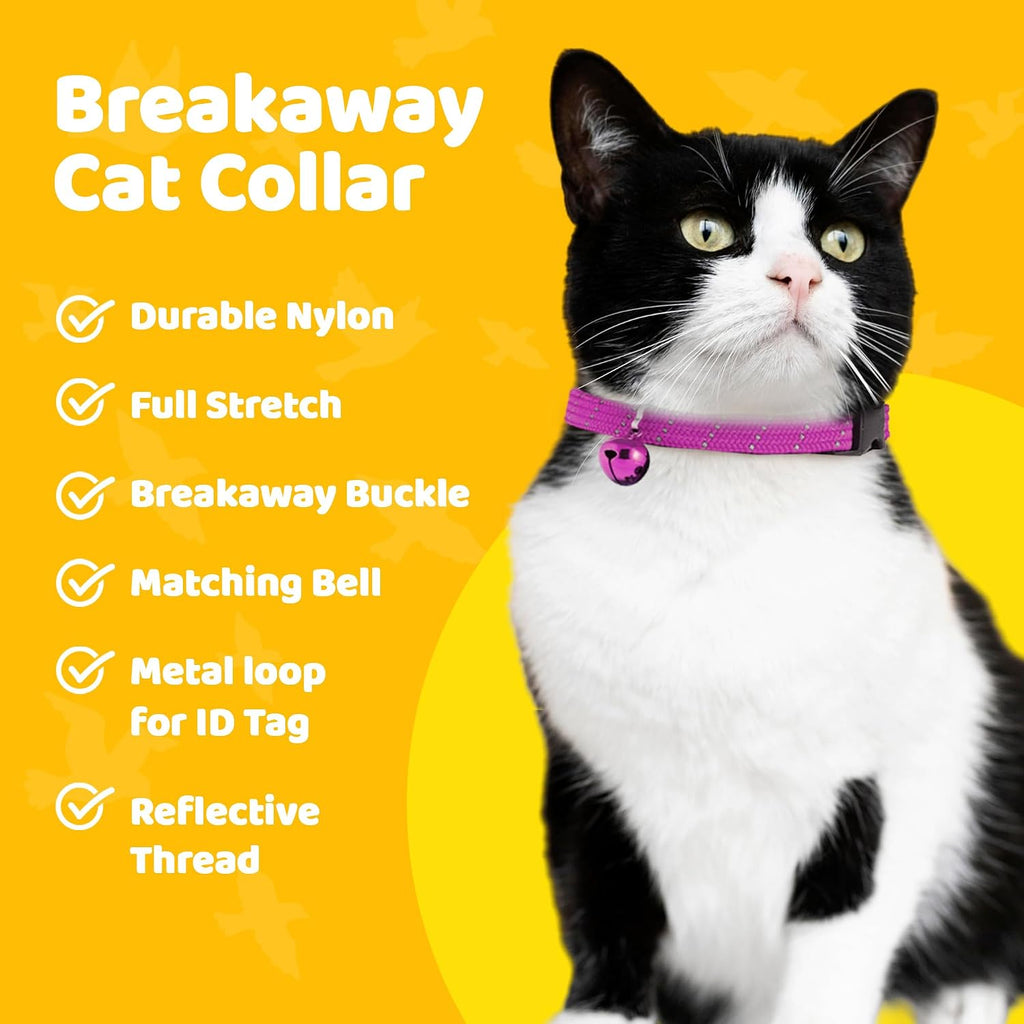 BirdsBeSafe safety collar displaying the woven reflective thread under low light conditions.