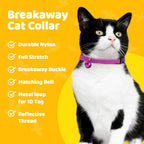 BirdsBeSafe safety collar displaying the woven reflective thread under low light conditions.