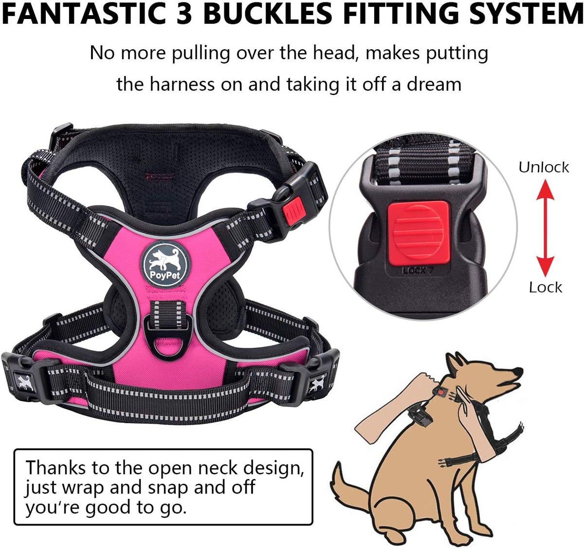 PoyPet dog harness adjustable straps and buckles detail