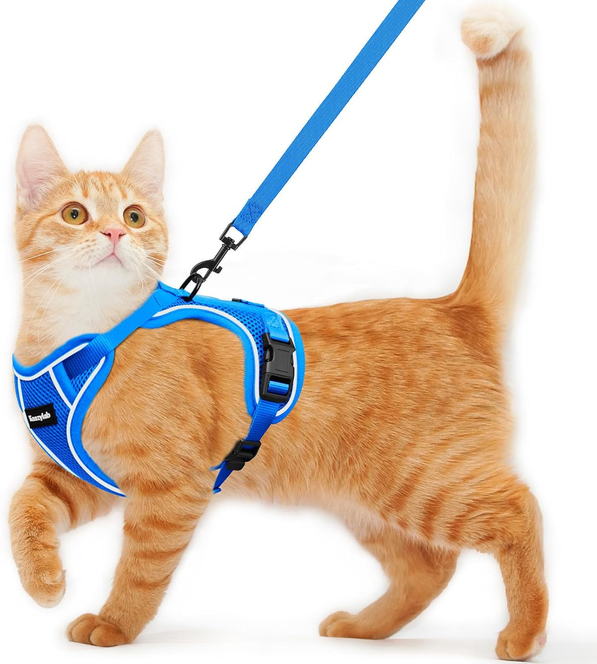 Cat Harness and Leash for Walking Escape Proof Soft Adjustable Cat Leash Breathable Comfortable Vest Easy to Wear Kitten Harness for Outdoor Travel (Black, S (7-12lb)) - Image 12