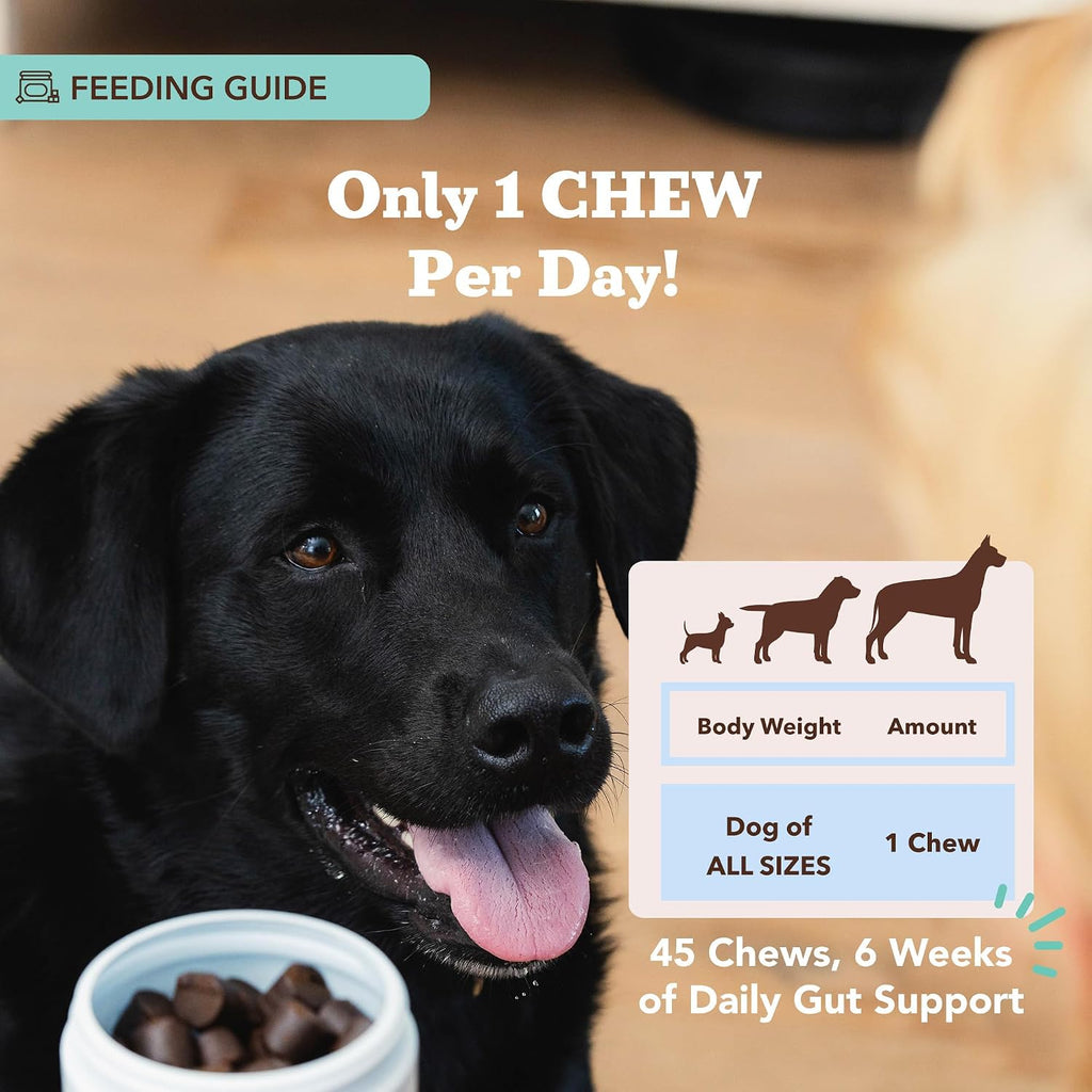 Forty five count bottle of vet formulated probiotic treats for dogs