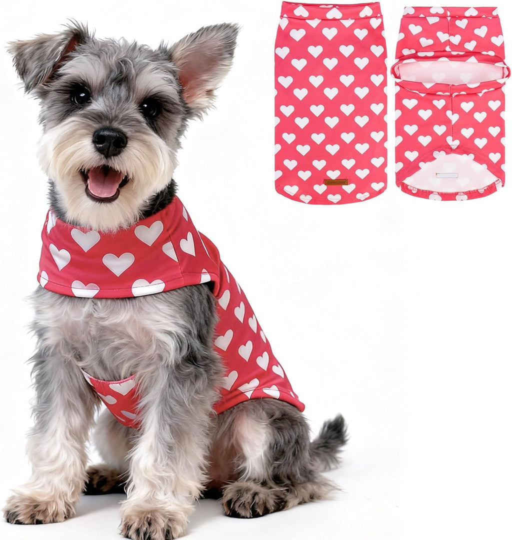 EXPAWLORER Plaid Cat Sweater - Pet Clothes Cat Puppy Vest Warm Fleece Hoodie for Cats, Fall and Cold Winter Coat Pullover Design, Buffalo Checked Sweatshirt Clothing Also for Small Dogs - Image 9