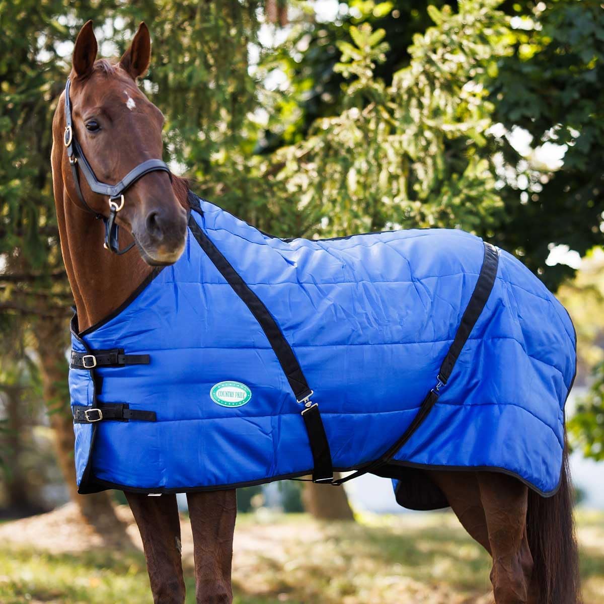 Country Pride midweight horse stable blanket side profile view