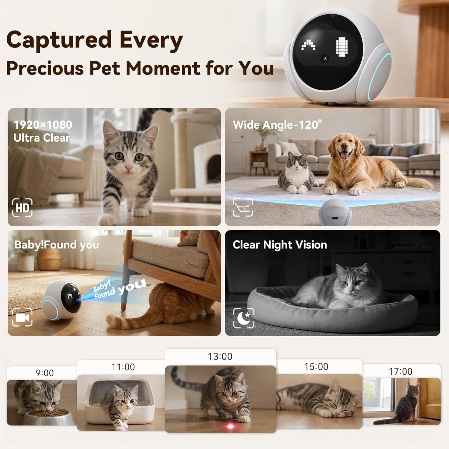 Vivideye pet camera night vision monitoring mode