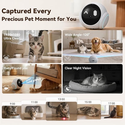 Vivideye pet camera night vision monitoring mode