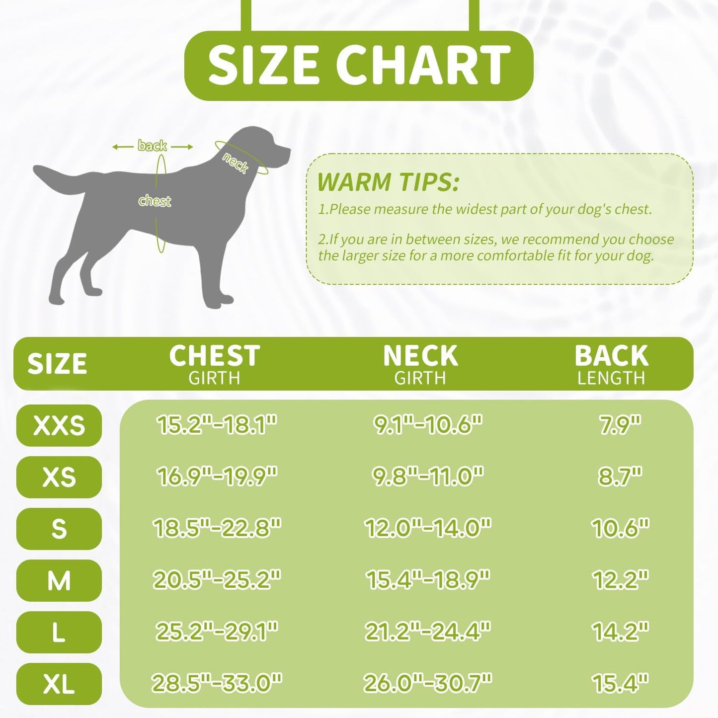 Premium neoprene pet flotation jacket showing heavy duty metal D ring leash attachment.