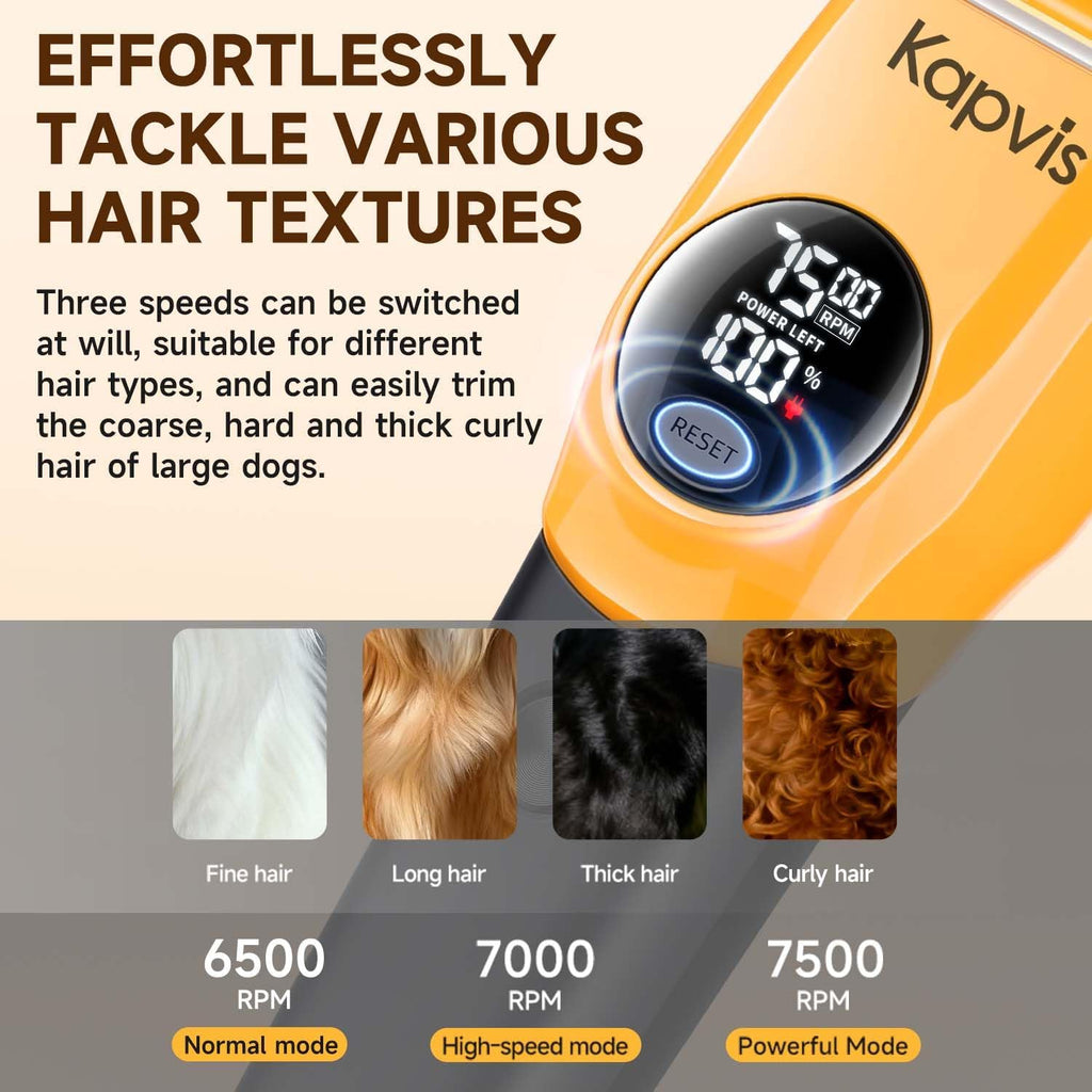 Kapvis cat shaver kit with multiple clipper guards, scissors, cleaning brush, and lubricating oil spread out.