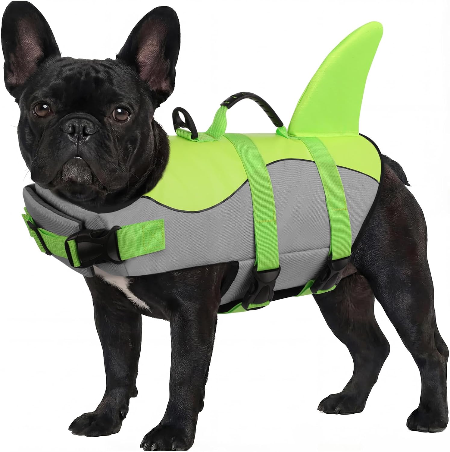 ASENKU Dog Life Jacket - Pet Safety Vest for Swimming & Boating, Shark Life Jacket with Floatation, Dog Lifesavers Swimsuits for Small Medium Large Dogs (RedFlag, XL) - Image 11