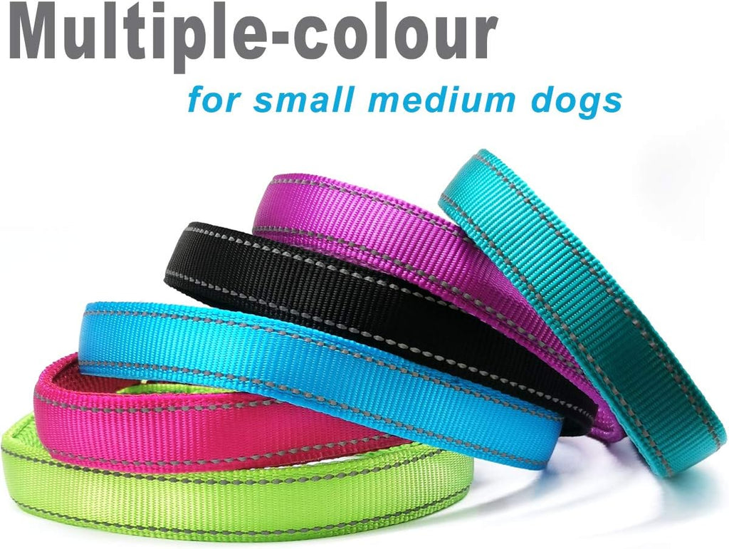 Adjustable P collar training mechanism loop section on the Mycicy pink collar.