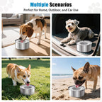 Schitec non drip puppy water bowl placed on kitchen floor