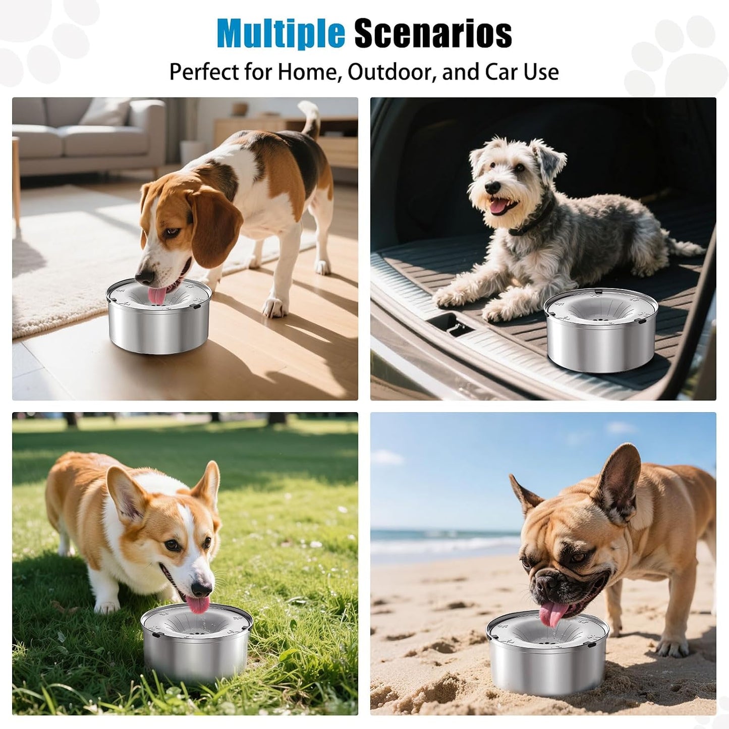 Schitec non drip puppy water bowl placed on kitchen floor