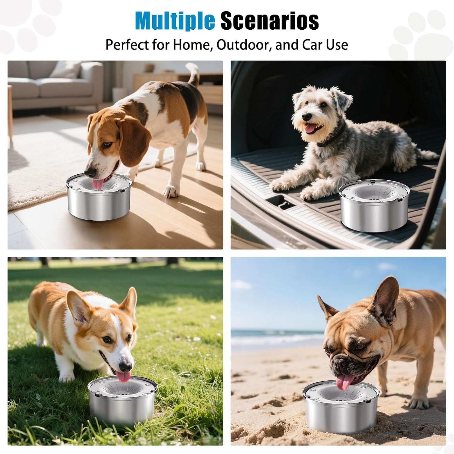 Schitec non drip puppy water bowl placed on kitchen floor