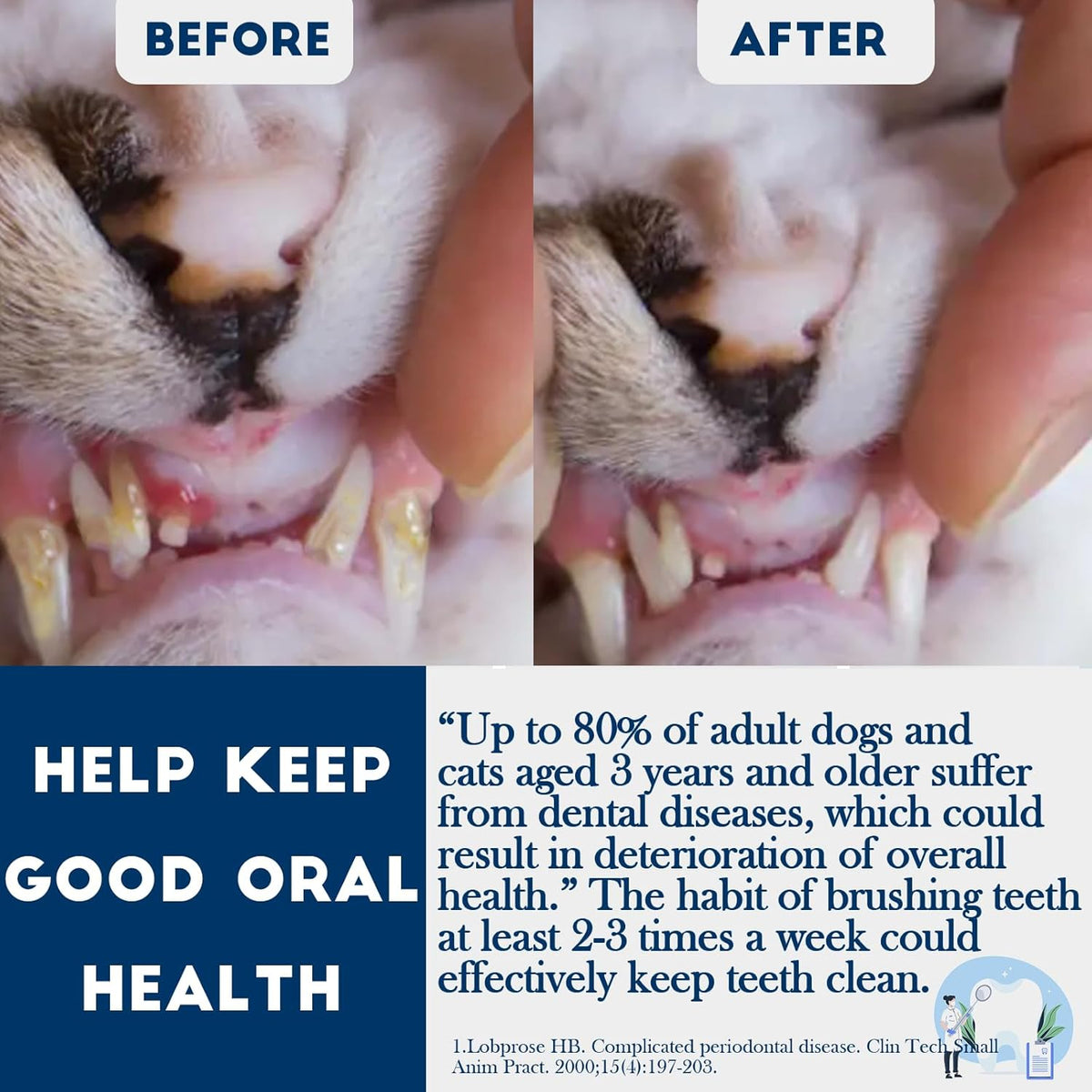 Small dog having teeth cleaned with MoonyMars brush