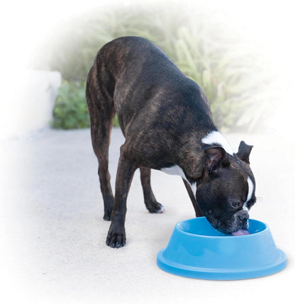 Large capacity blue insulated pet dish being filled with fresh water