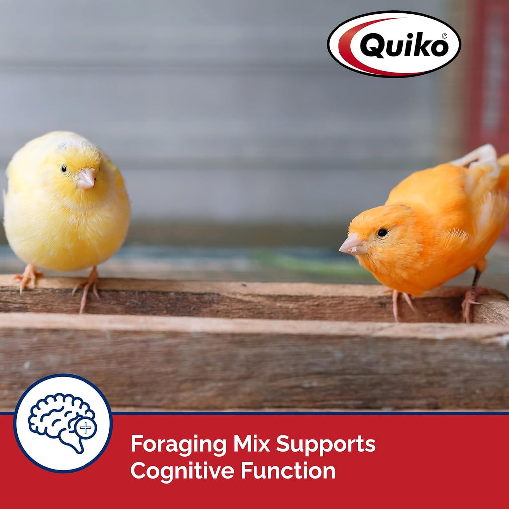 Quiko Special Red Egg Food Supplement, Red-Factor Formula With Canthaxanthin For Canaries, 1.1 Lb. Pouch - Image 4