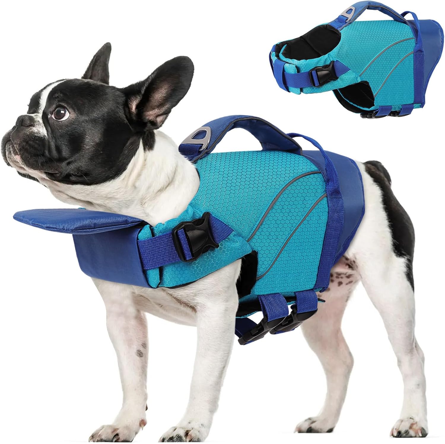 Queenmore small dog life jacket front view blue color