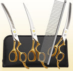 Complete professional Citywish pet grooming kit layout with cleaning cloth and regulator