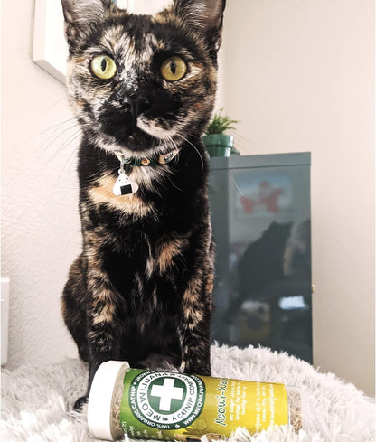 Meowijuana | Catnip Bundles | Organic | High Potency Cat Treats | Perfect for Cat Toys | Grown in The USA | Feline and Cat Lover Approved (Mice Dreams Catnip Bottle Bundle) - Image 9