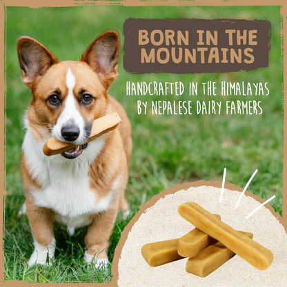 Microwaved small end pieces transformed into crunchy cheese puffs for pet safety.