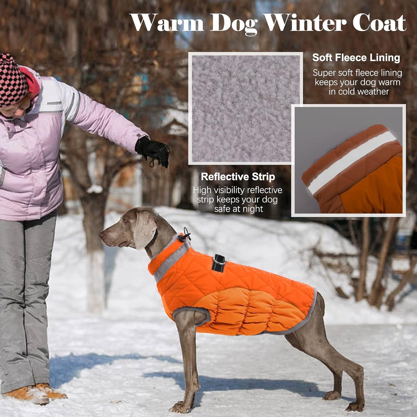 Reflective strip detail on Lelepet winter dog coat at night