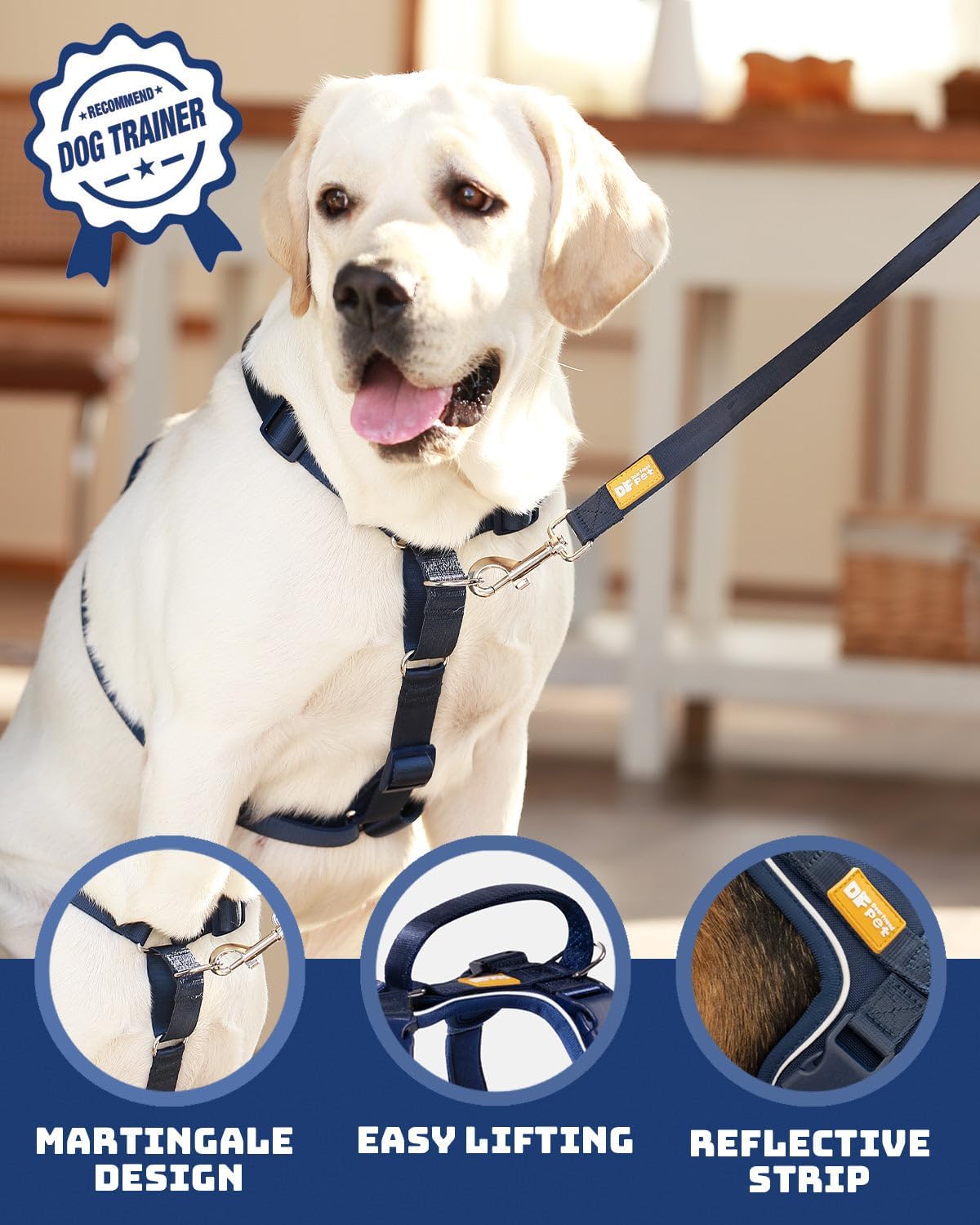 DF Freedom dog harness adjustable straps and buckles detail