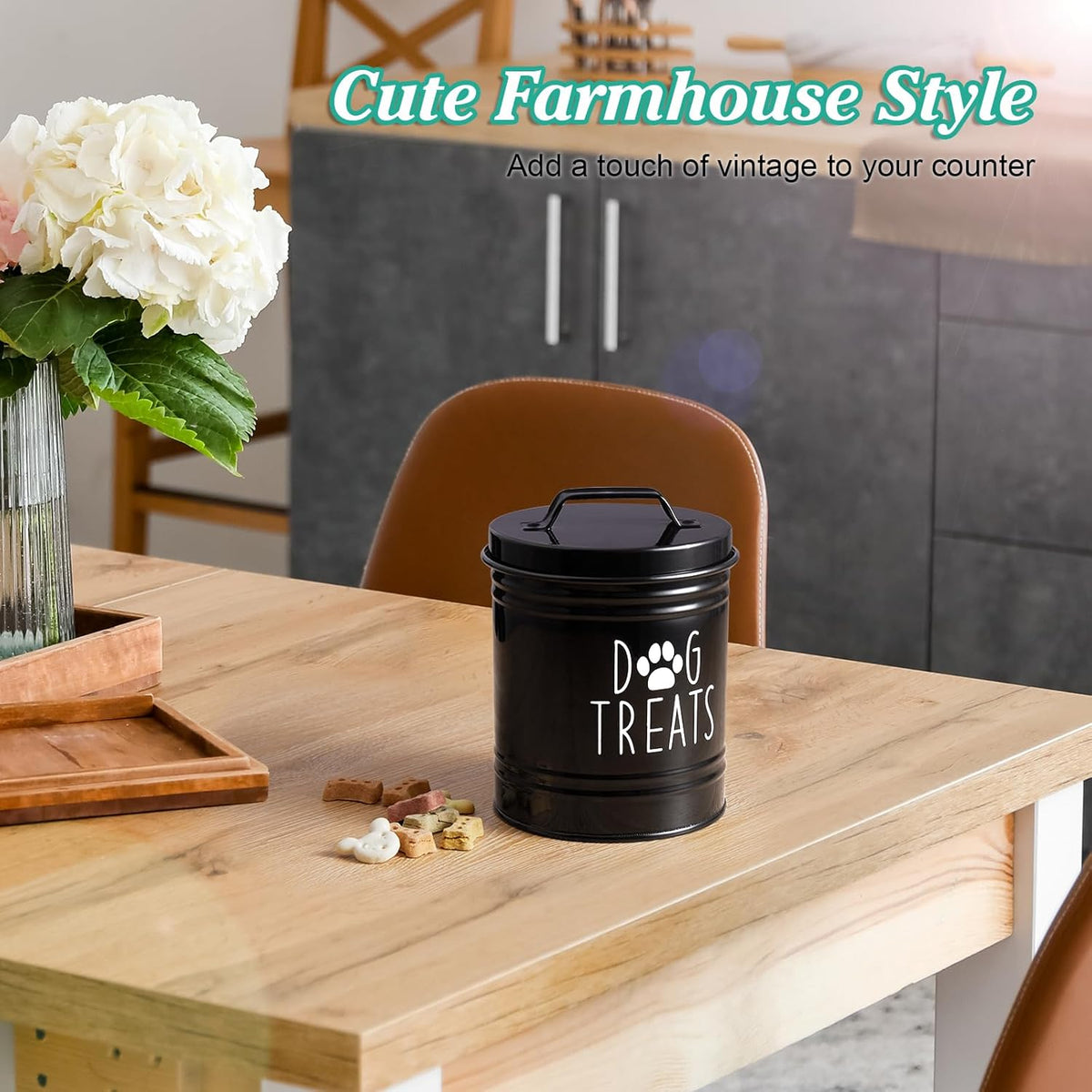 Top view of Outnili pet snack container showing handle