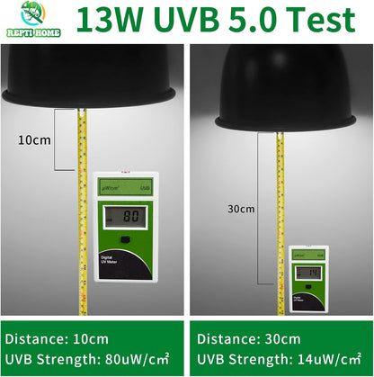 Thirteen watt UVA UVB reptile light bulb for chameleons and iguanas