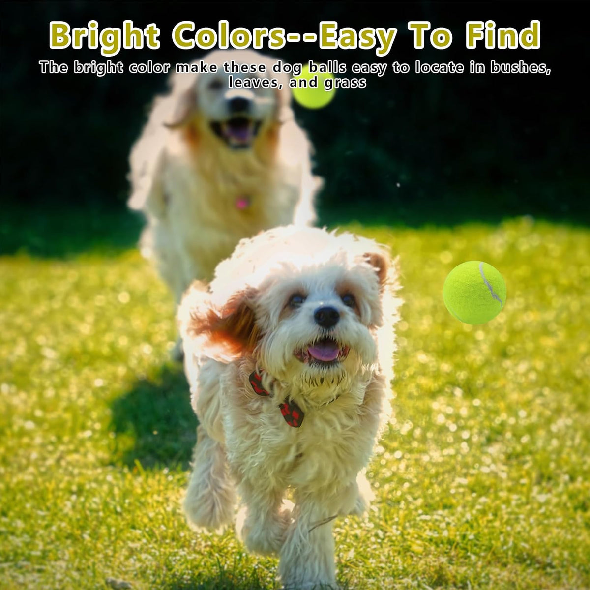 Natural rubber tennis balls for small dog breeds